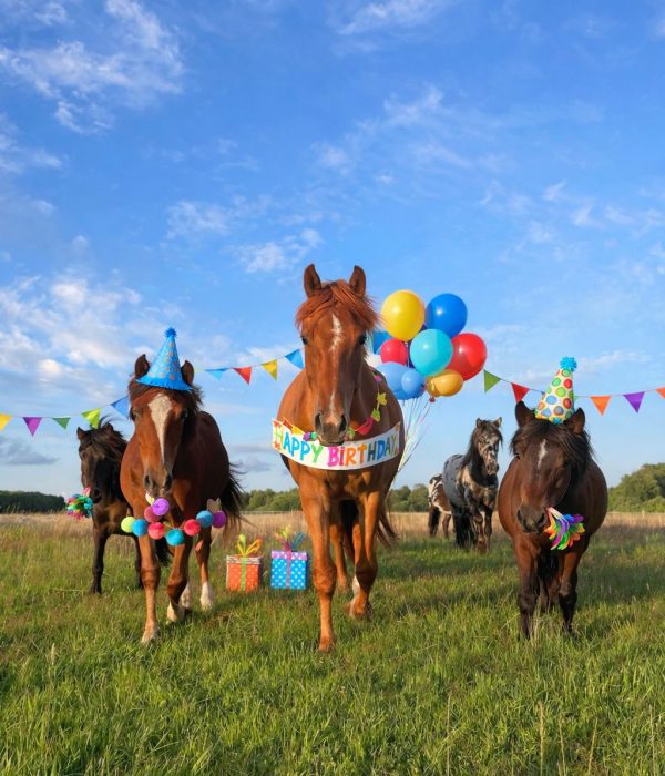 be3b8cc9-e775-4fac-b295-c7707d183f70